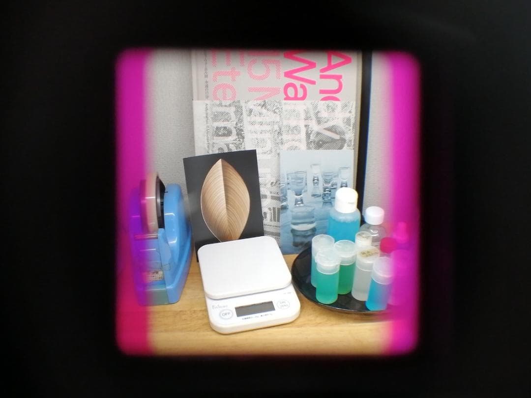 フィルムカメラ Fujifilm FUJICA Six #7274