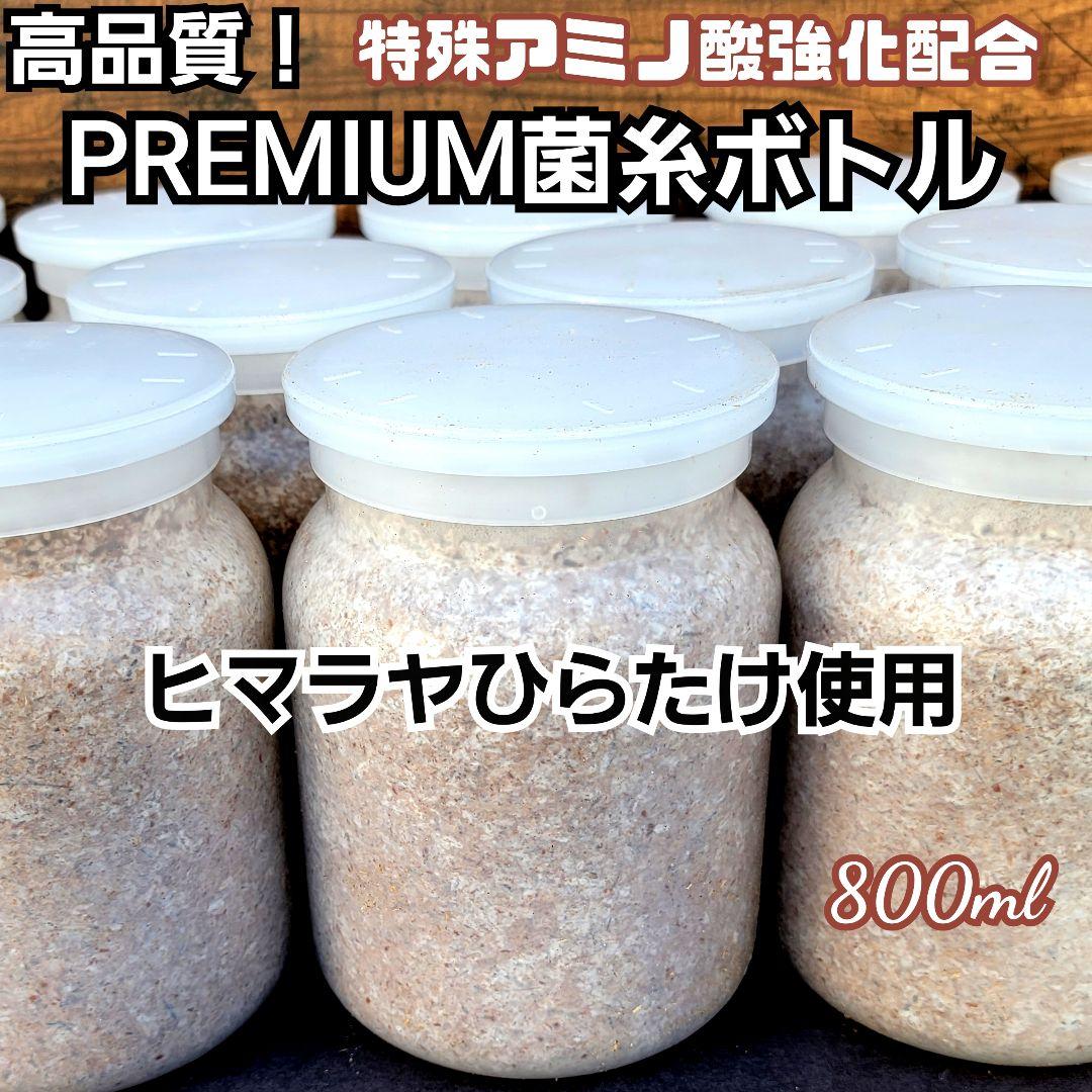 極上！ヒマラヤひらたけ菌糸瓶【１０本セット】トレハロース、キトサン強化配合！