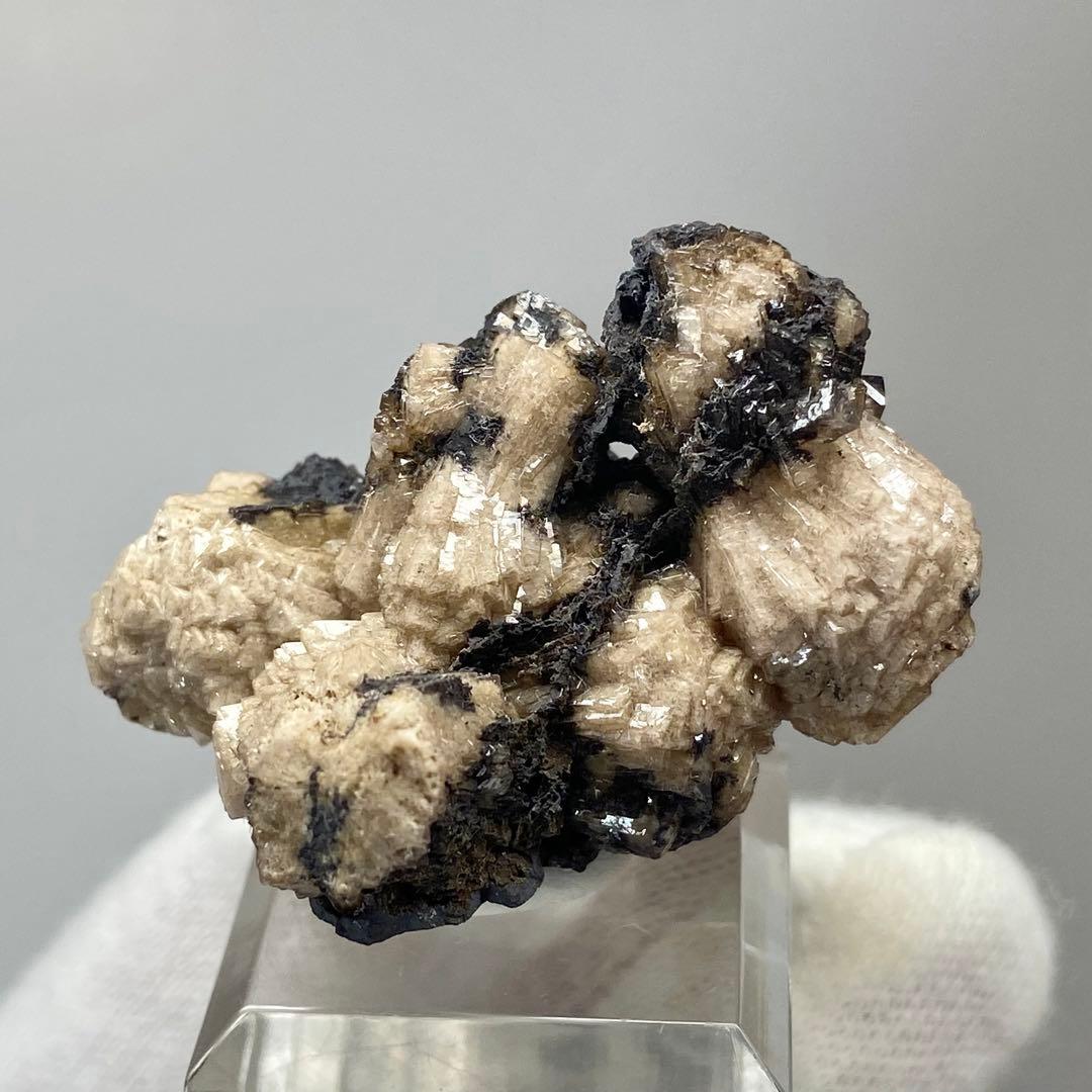 オルミアイト　鉱物標本　原石　天然石　ストーン　南アフリカ