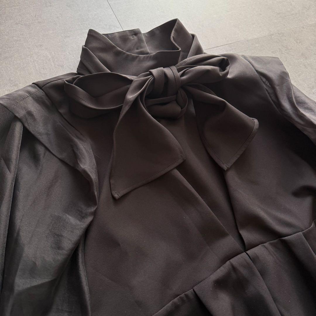 【大きめ】ルイルエ オーガンジースリーブ パンツ セットアップ 3L 結婚式