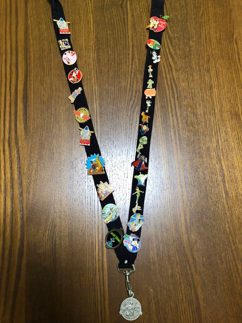 東京ディズニーランド　ピンバッチ27点+専用ストラップ