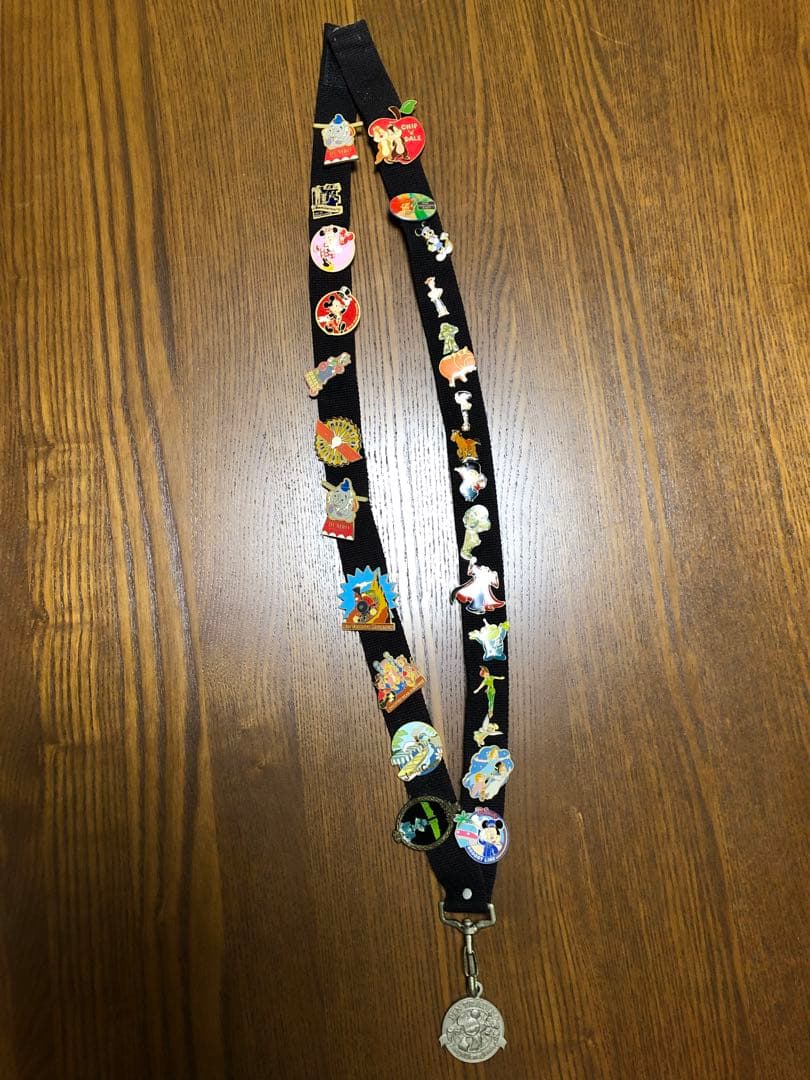東京ディズニーランド　ピンバッチ27点+専用ストラップ