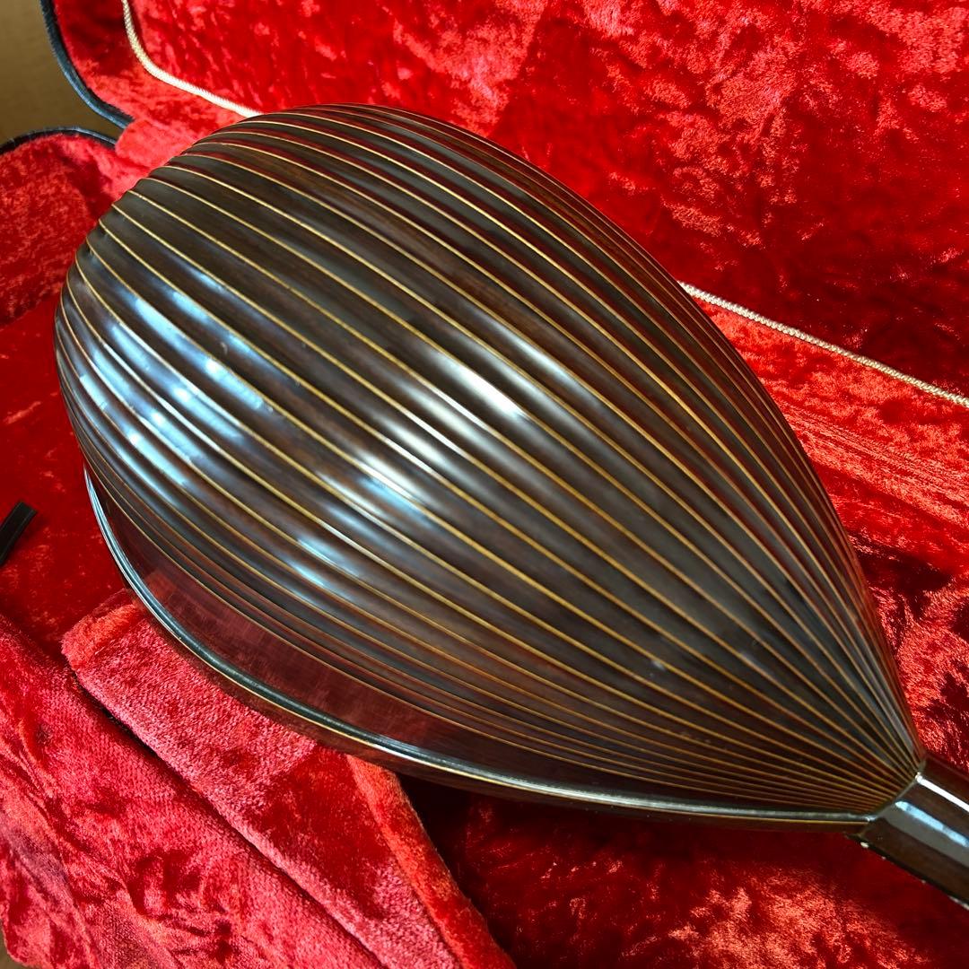 マンドリン 落合忠男1979年　ハードケース付き