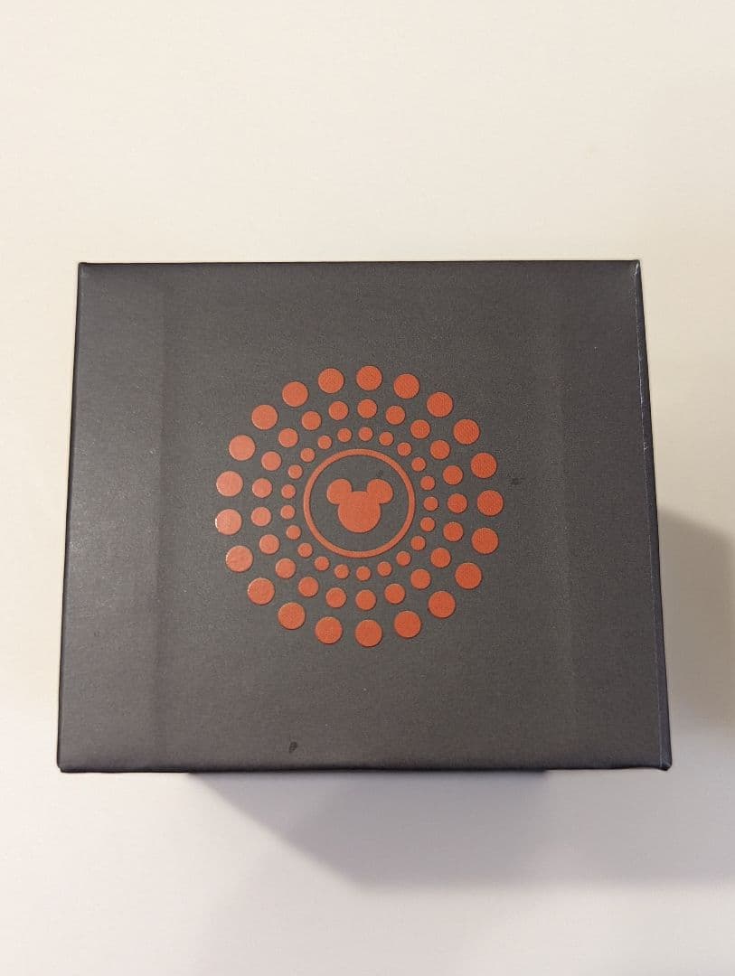 【限定1500個】【激レア】マジックバンド ロキ【日本未入荷】【未使用】