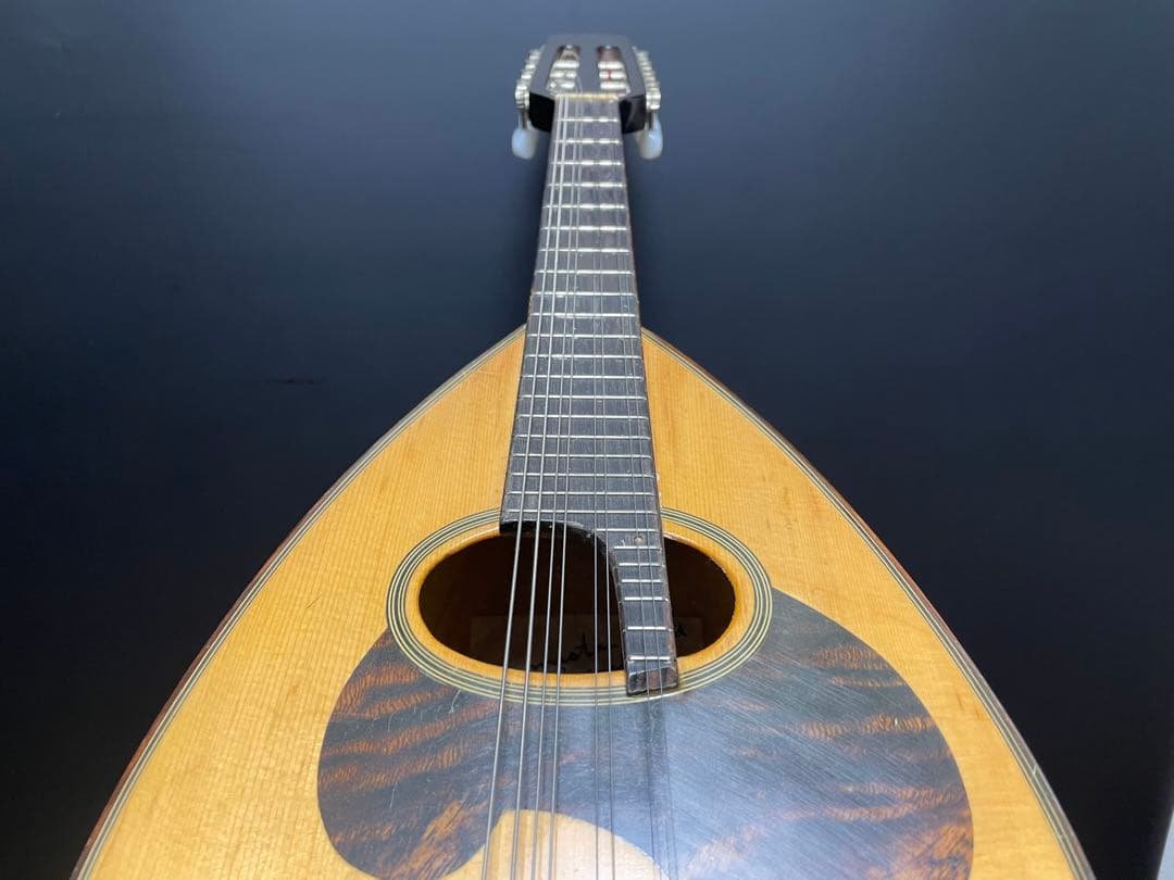 SUZUKI スズキ M-50 マンドリン ハードケース付き