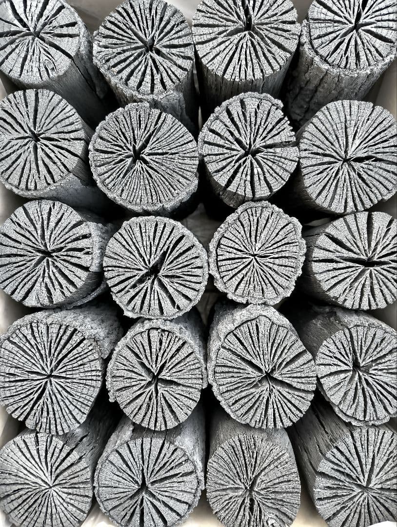 K【愛媛産】クヌギ炉用胴炭約5kg 皮剥がれ