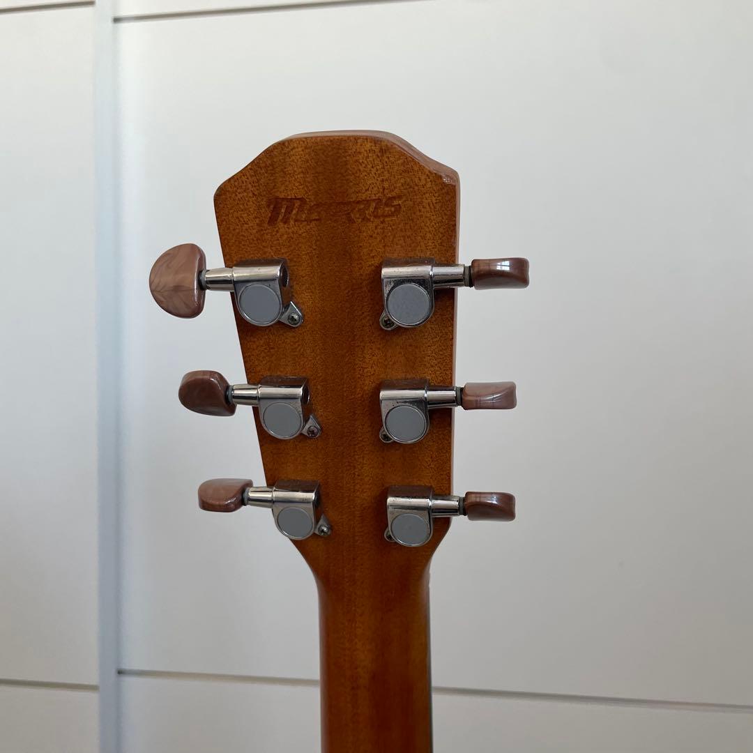 Morris S-40 アコギ カッタウェイ アコースティックギター