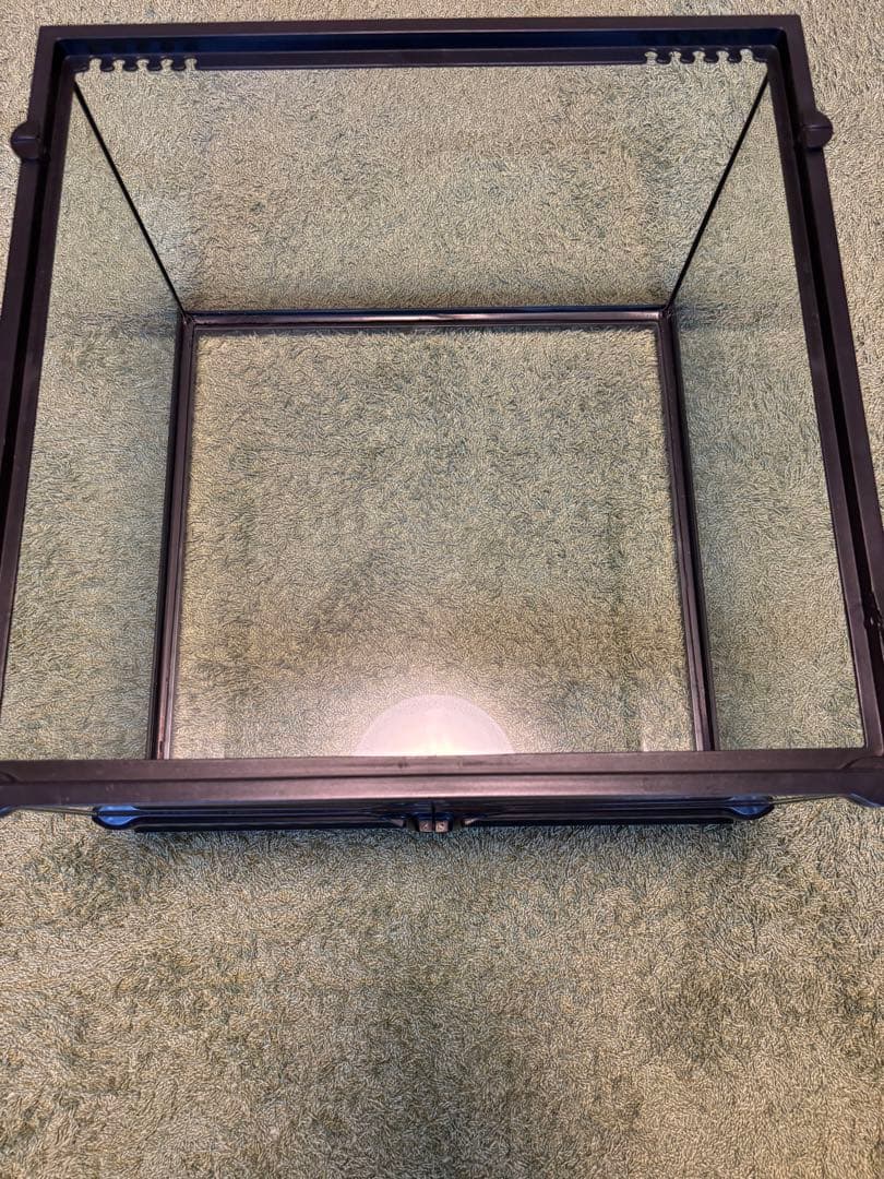 GEX ジェックス グラステラリウム4530 飼育セット