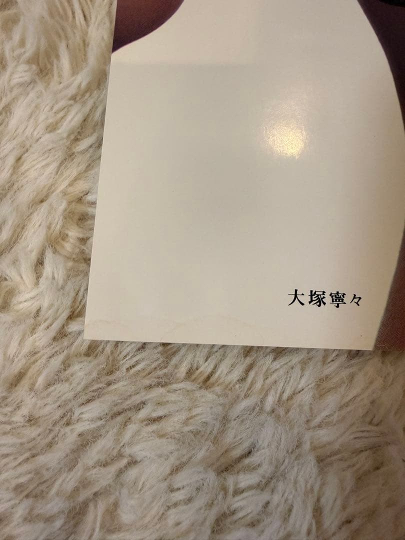 激レア非販売品ポスター大塚寧々さん 縦長ポスター
