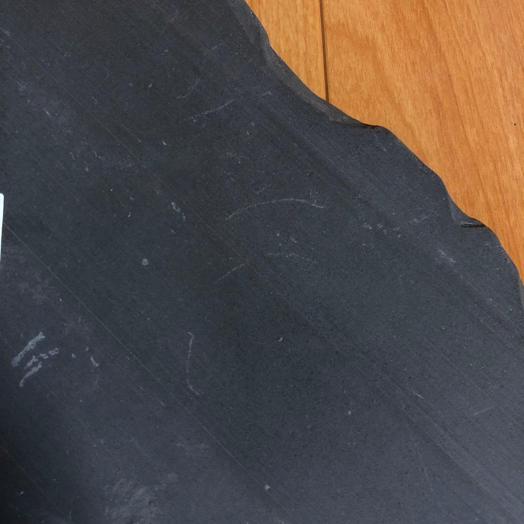 アンモナイト化石