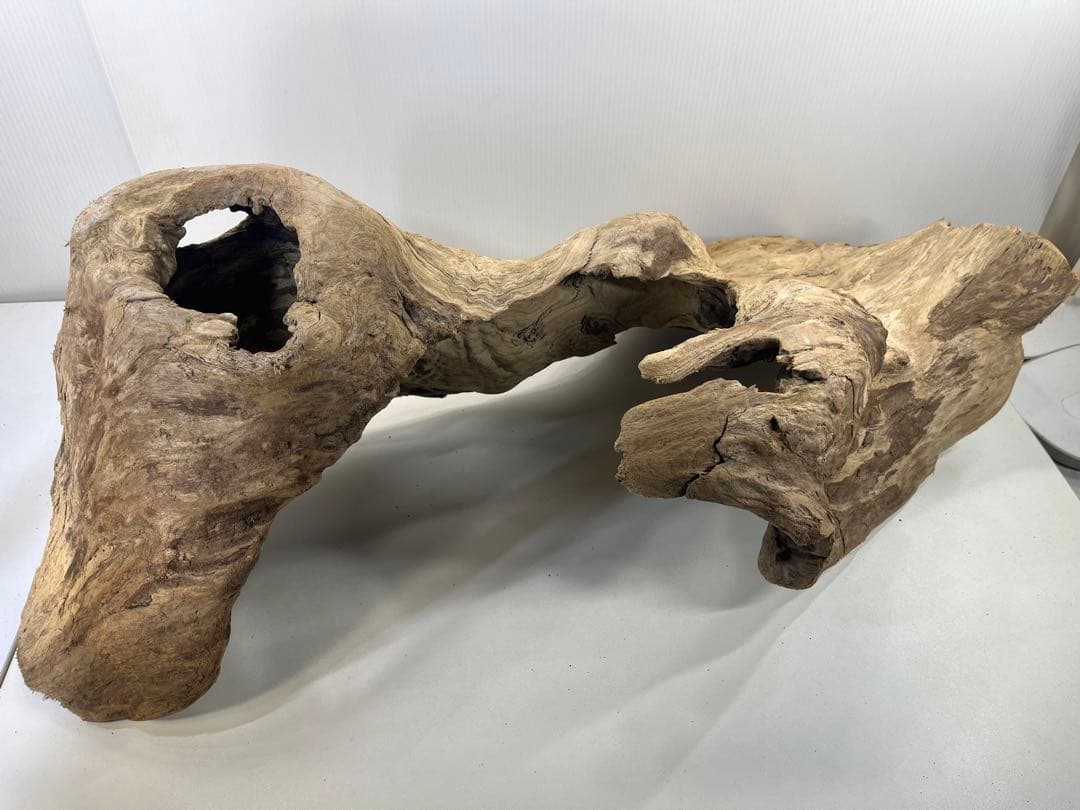 m61特大流木 アク抜き済み 爬虫類シェルター レイアウト用 登り木 インテリア