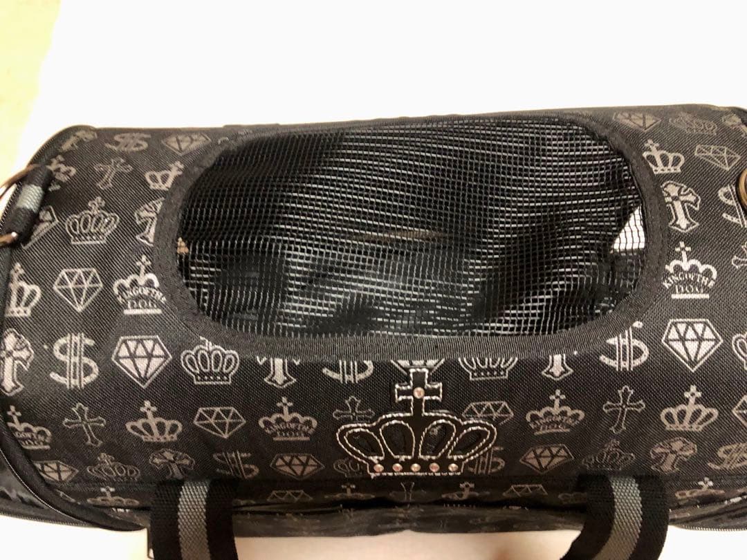 クリエイティブヨーコ 折畳キャリー 小型犬 約4～8kg