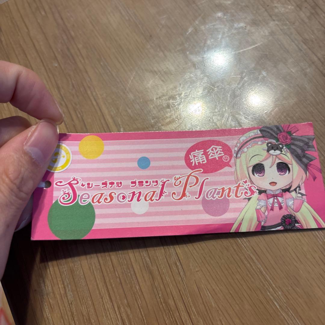 Seasonal Plants 痛傘