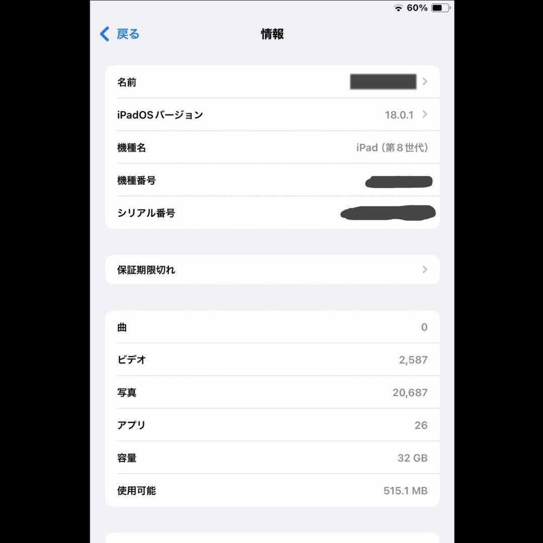 iPad 第8世代 / 32GB / Cellular