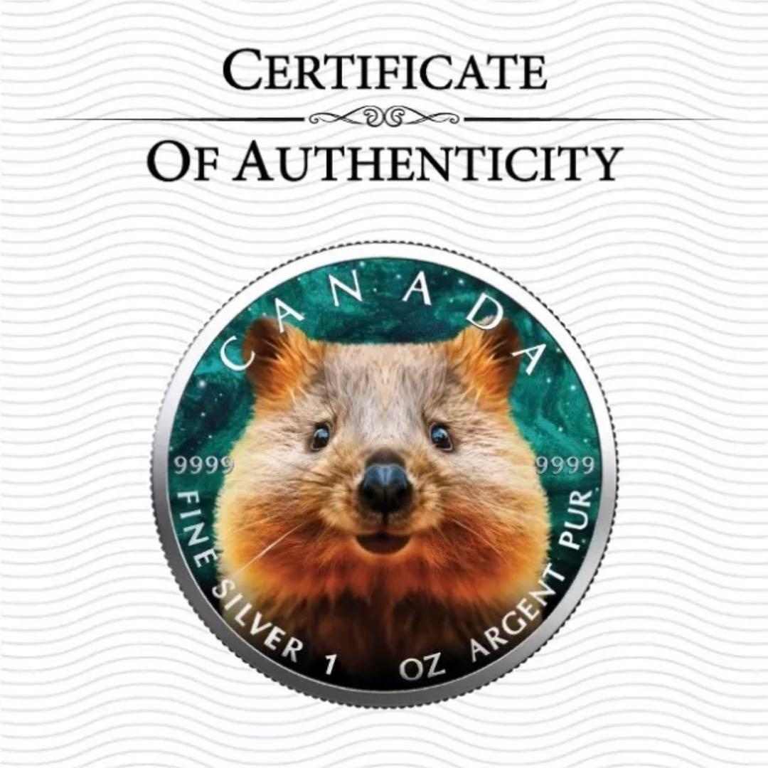 【世界100枚限定！】メイプルリーフ 銀貨 カラー クォッカワラビー 1オンス