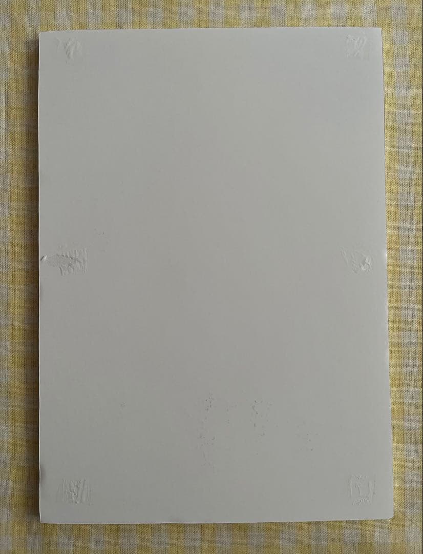 【非売品】真田ナオキ　直筆サイン入り写真パネル