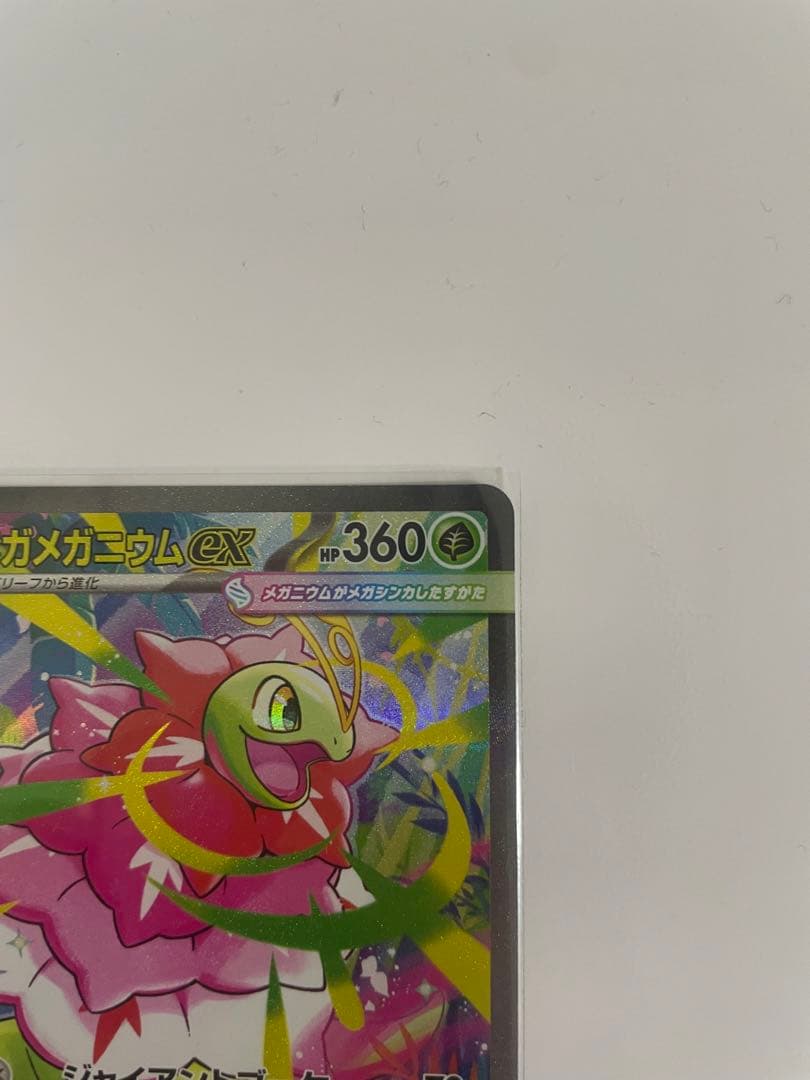 スタートデッキ100 101 メガオーダイル　メガメガニウム　メガエンブオー