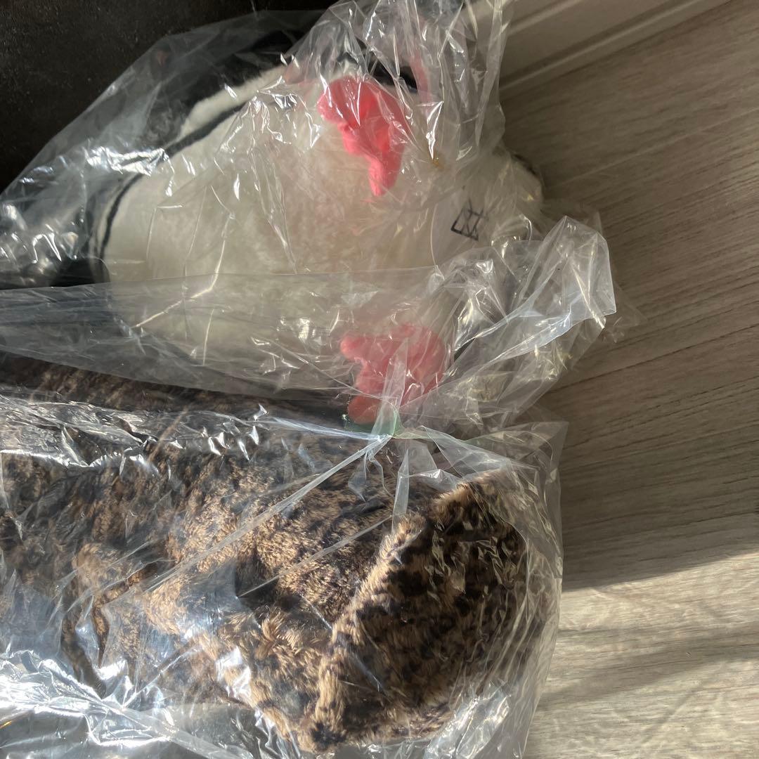 京都水族館 オオサンショウウオLL ペンギン