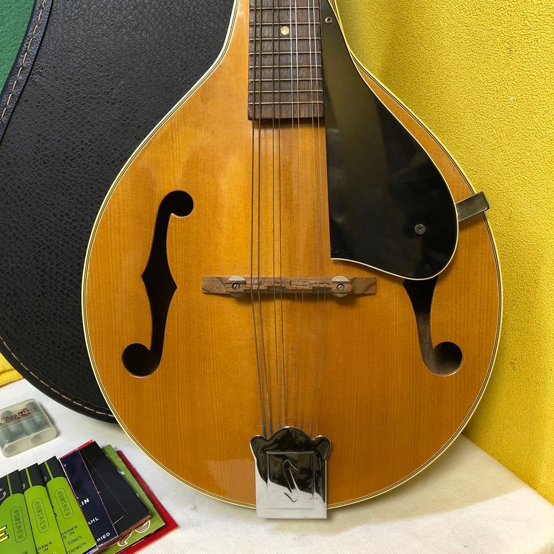 フラットマンドリン 日本製ハードケース付き！