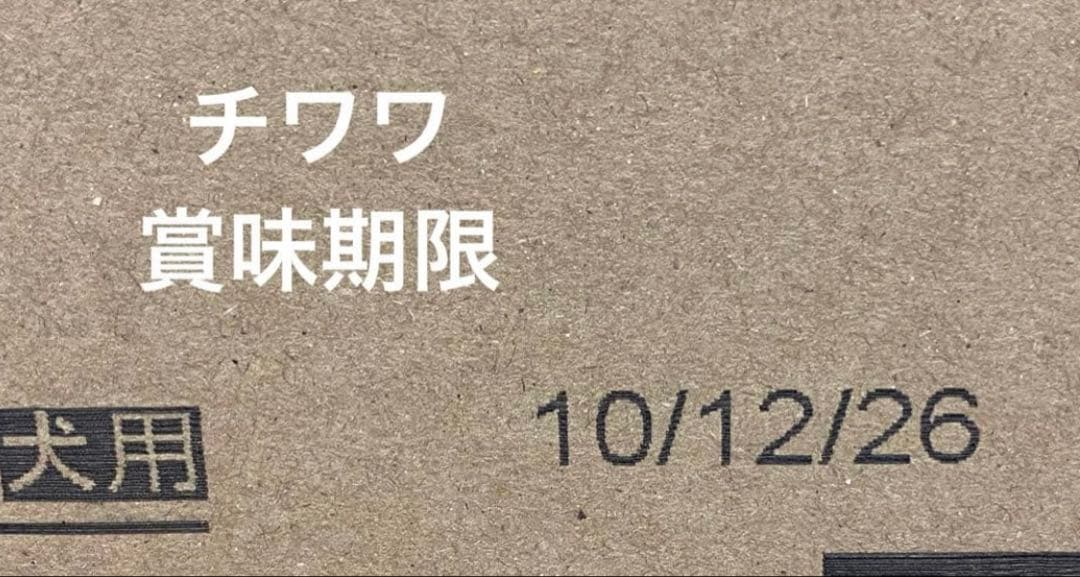  CANIN チワワ 12kg ダンボール発送