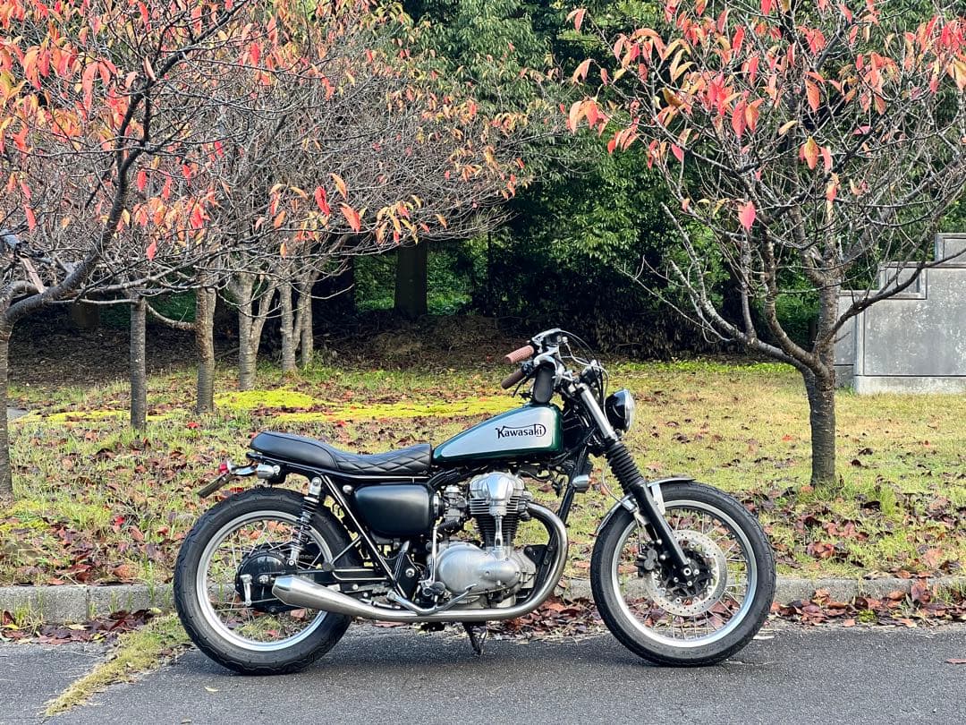 YSS ECOLINEE302 ローダウンサスペンション 300mm W650