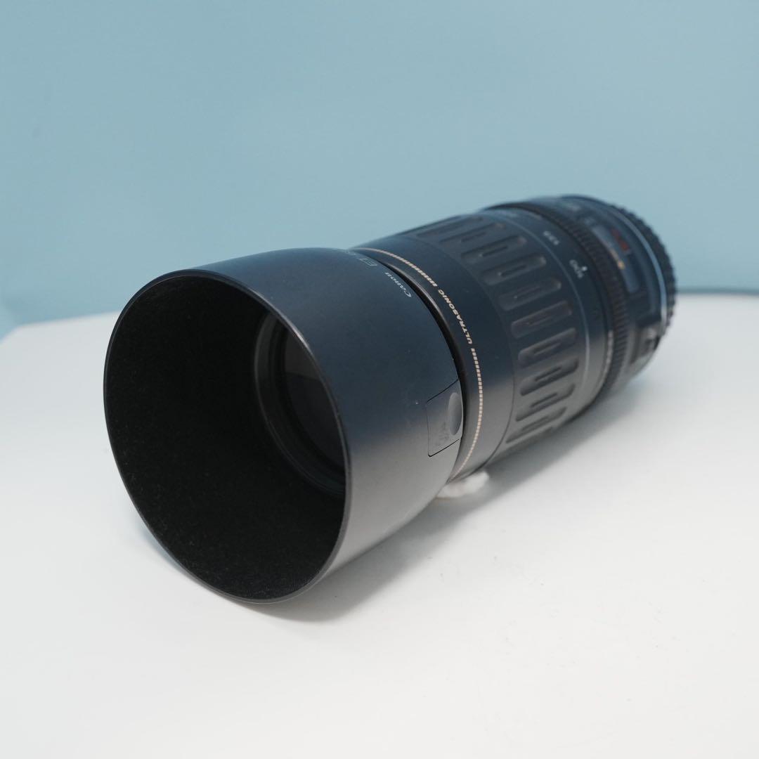 Canon純正 100-300mm 望遠レンズ a4658
