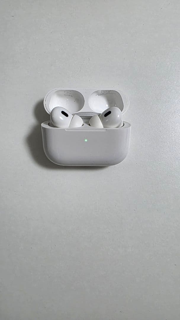 SPIGEN ケース付【中古】AirPods Pro MLWK3J/A