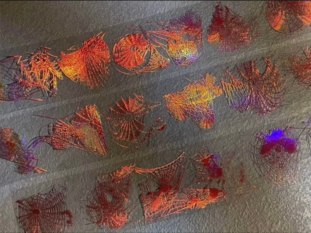 镭射红 6cm×5m 蜘蛛网 海外マスキングテープ　海外マステ　蜘蛛の巣