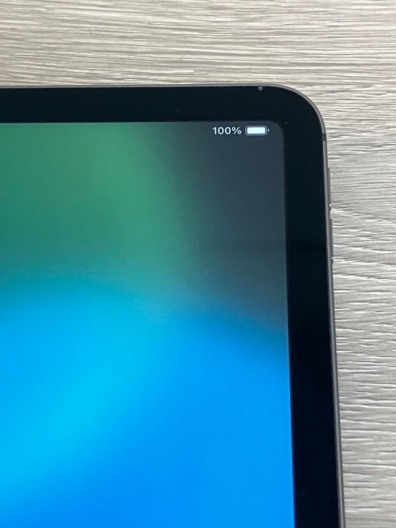 Cellularモデル iPad Pro 11インチ 第2世代 256GB