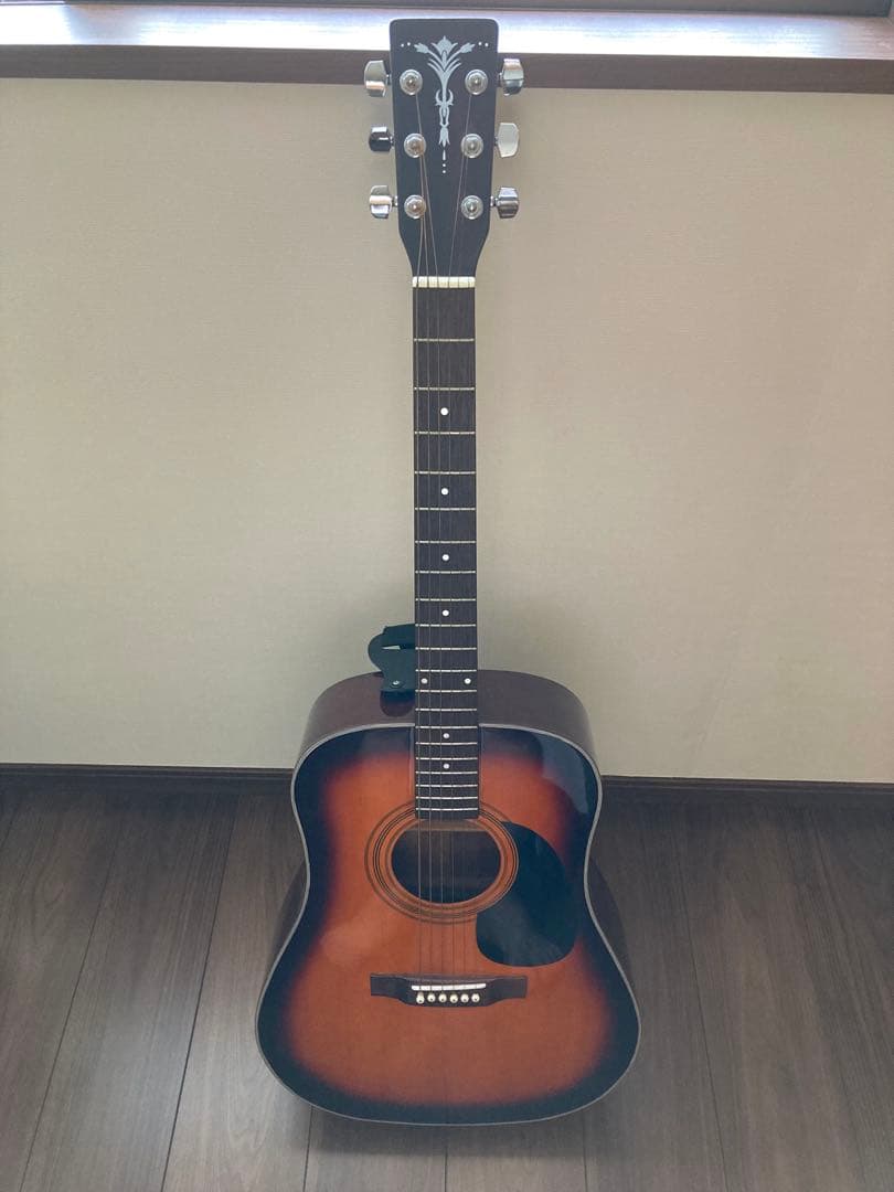 ◾️極美品 Aria アコースティックギター ◾️ソフトケース・教本2冊付