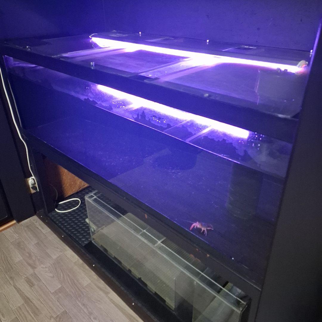 茨城　1600×750×500 アクリル水槽　ジャンク　カンテツ