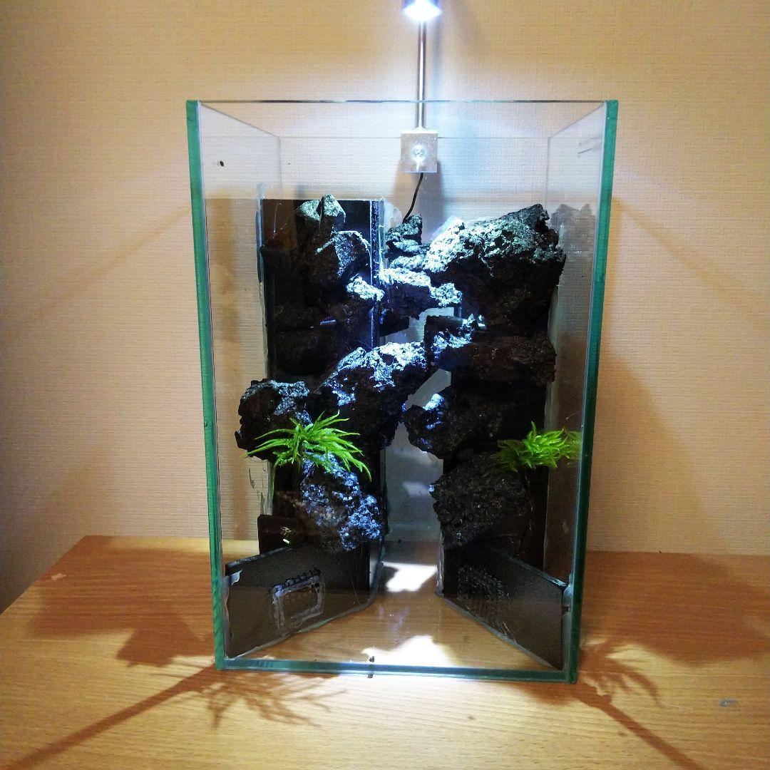 【完成品】滝の流れるアクアテラリウム　イモリウム　苔　　アクアテラリウム完成品