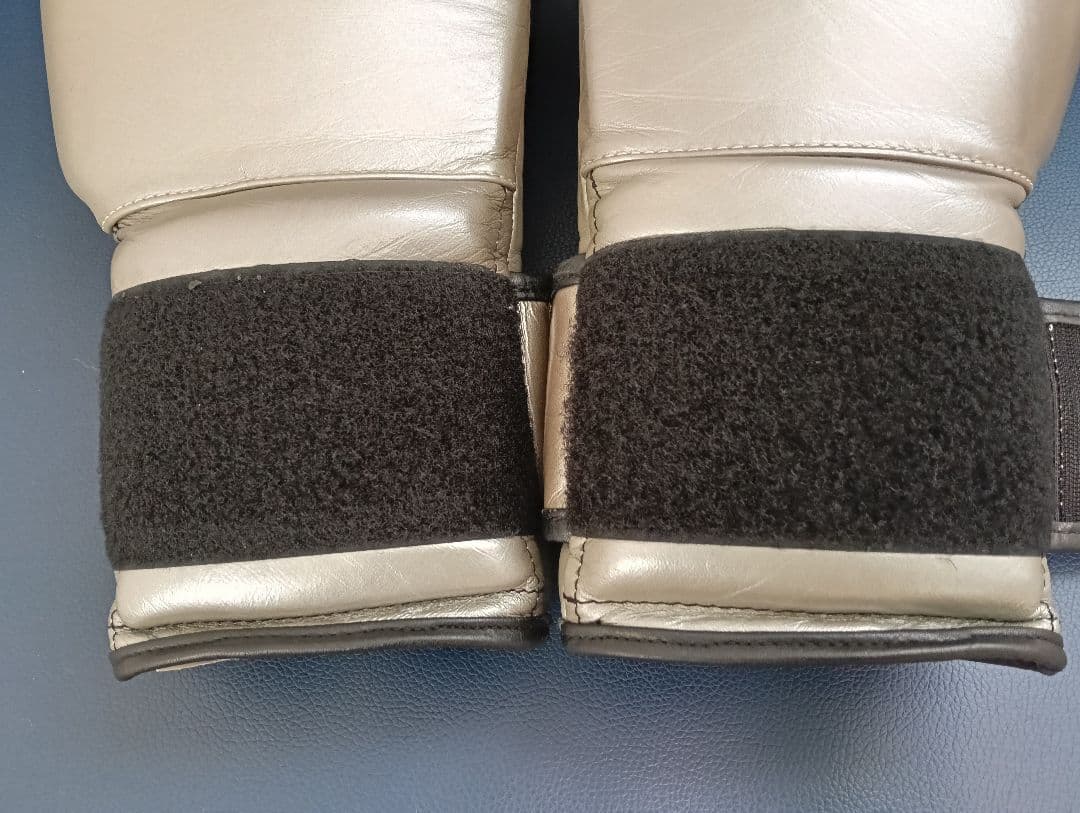 CLETO REYES プロフェッショナル ボクシンググローブ シルバー