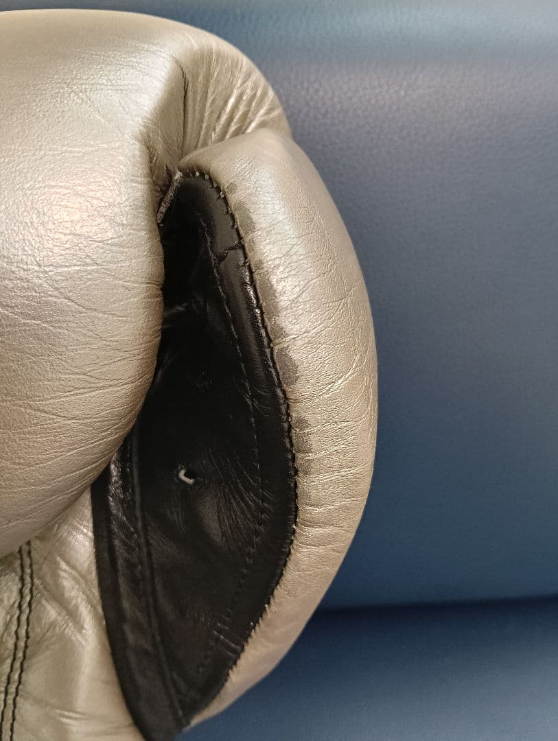 CLETO REYES プロフェッショナル ボクシンググローブ シルバー