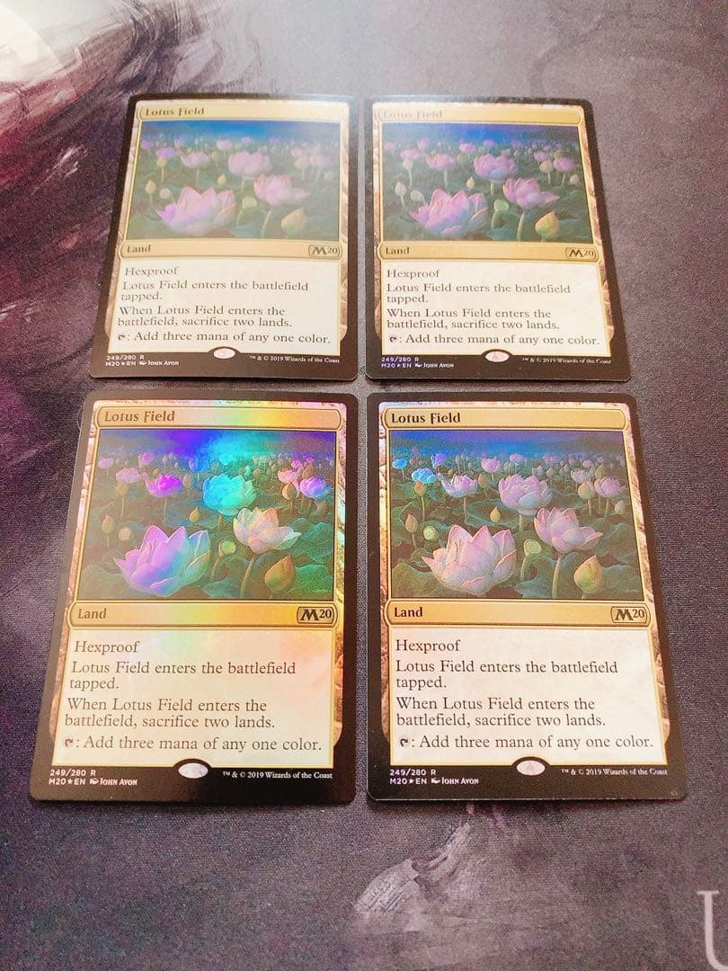 【foil】睡蓮の原野　英語　4枚セット