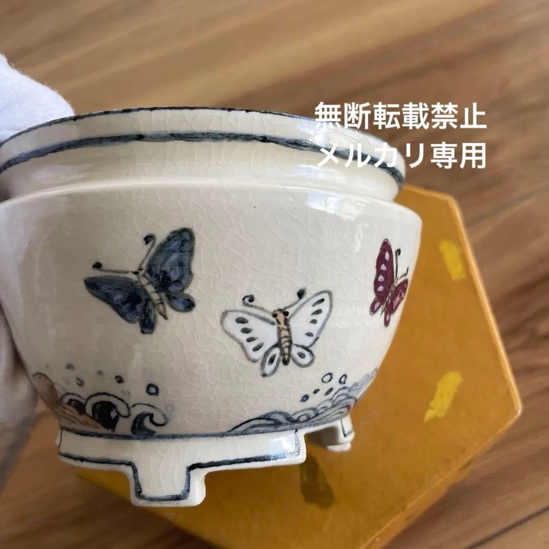 盆栽鉢　丸鉢　絵鉢　桑津香石　蝶柄　山野草　小品盆栽