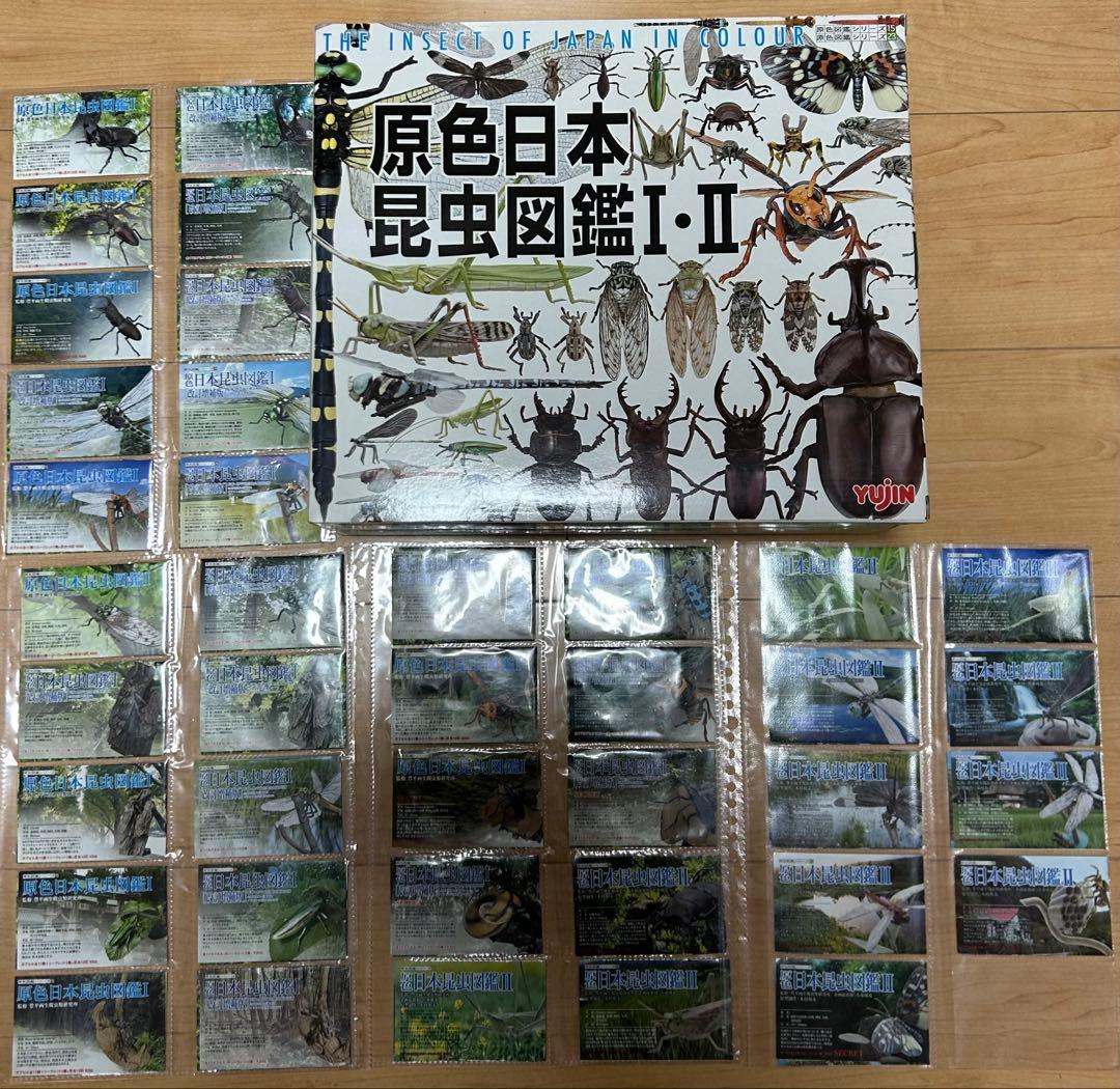 原色日本昆虫図鑑 Ⅰ Ⅱ コレクションBOX Ⅰ Ⅱ フルコンプセット