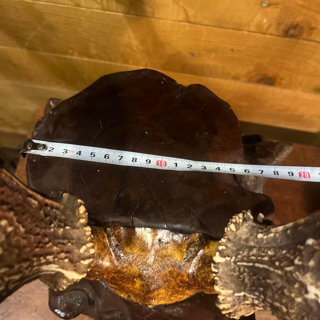 ヴィンテージ迫力満点！鹿ツノ丸太