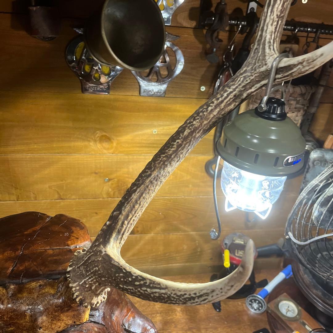 ヴィンテージ迫力満点！鹿ツノ丸太