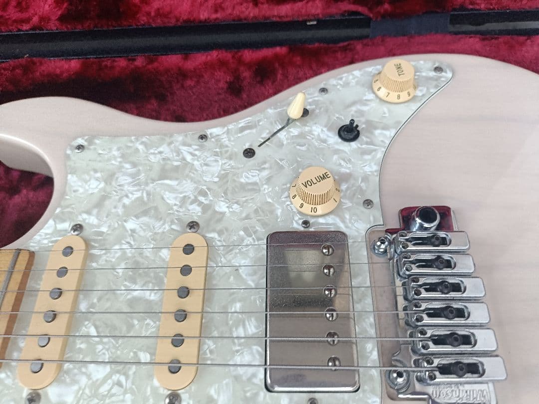 FUJIGEN　EOS ASH WB ギター（セミオーダー品）　ハードケース付