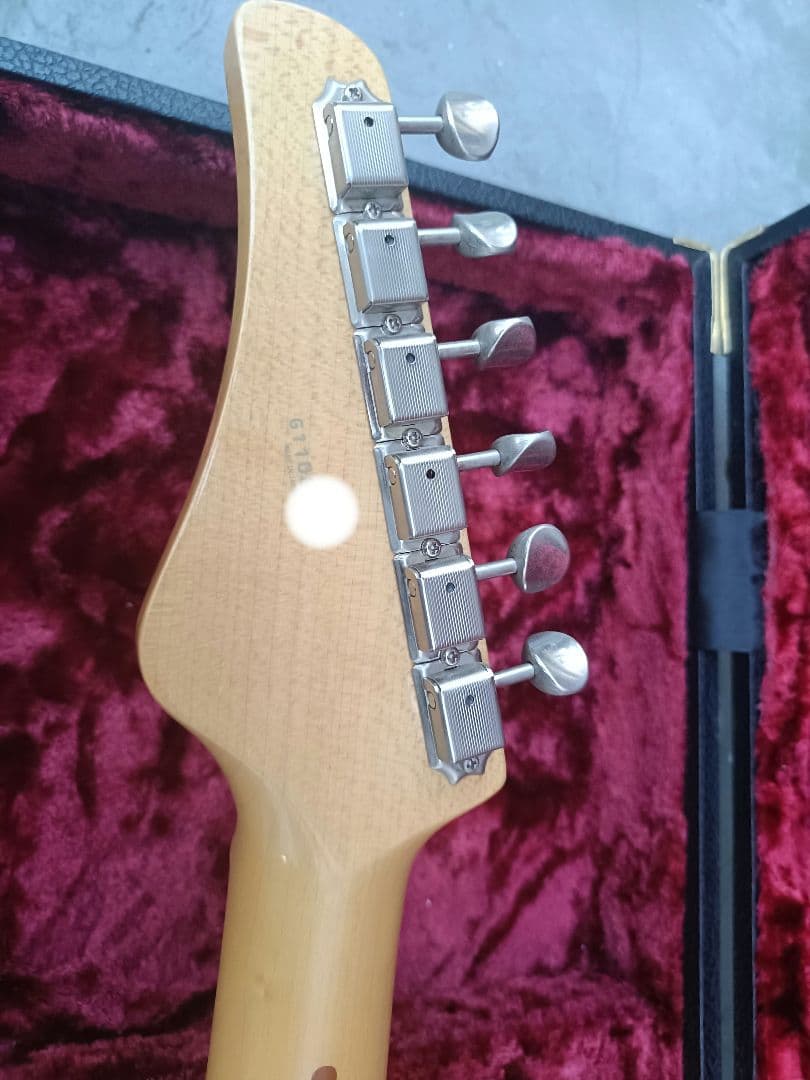 FUJIGEN　EOS ASH WB ギター（セミオーダー品）　ハードケース付