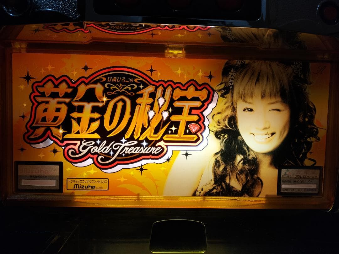 【パチスロ実機】ミズホ★安西ひろこの黄金の秘宝X【不要機付き】４号機・レア