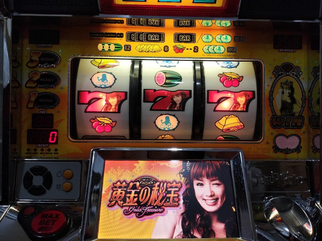 【パチスロ実機】ミズホ★安西ひろこの黄金の秘宝X【不要機付き】４号機・レア