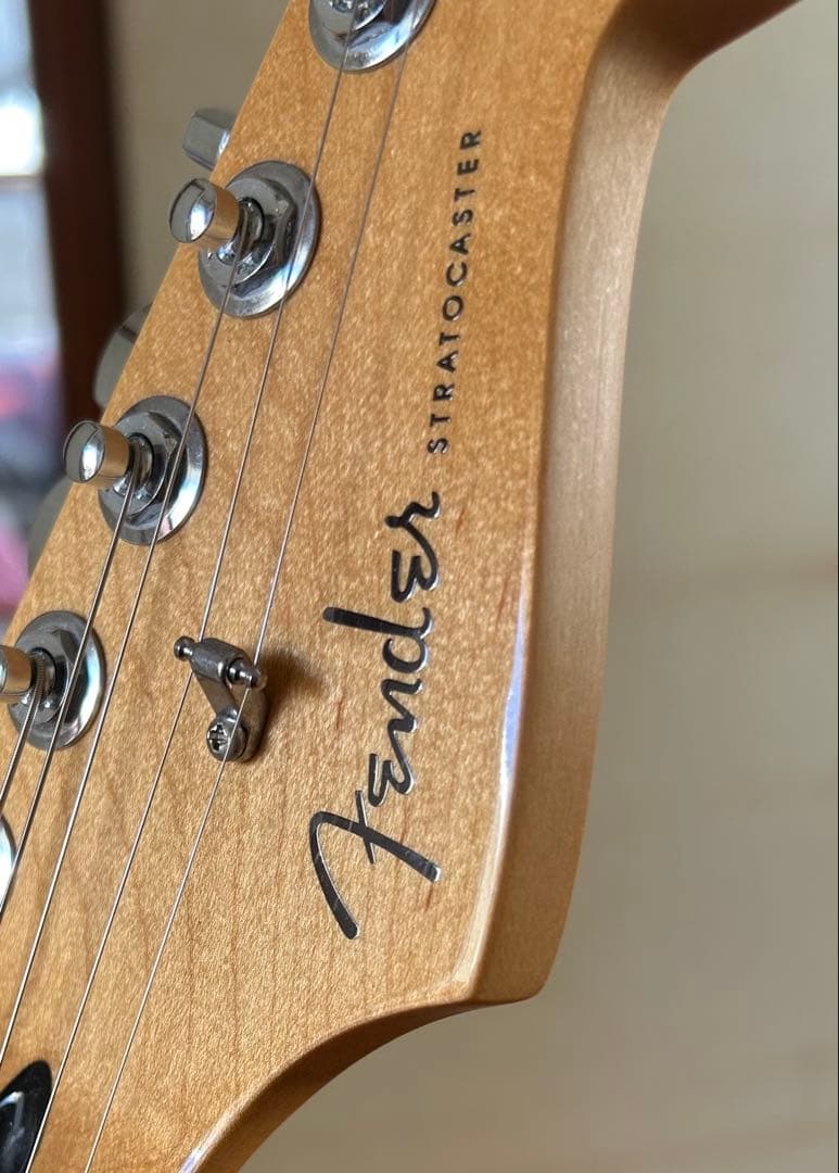 ギター Fender Player Plus Stratocaster