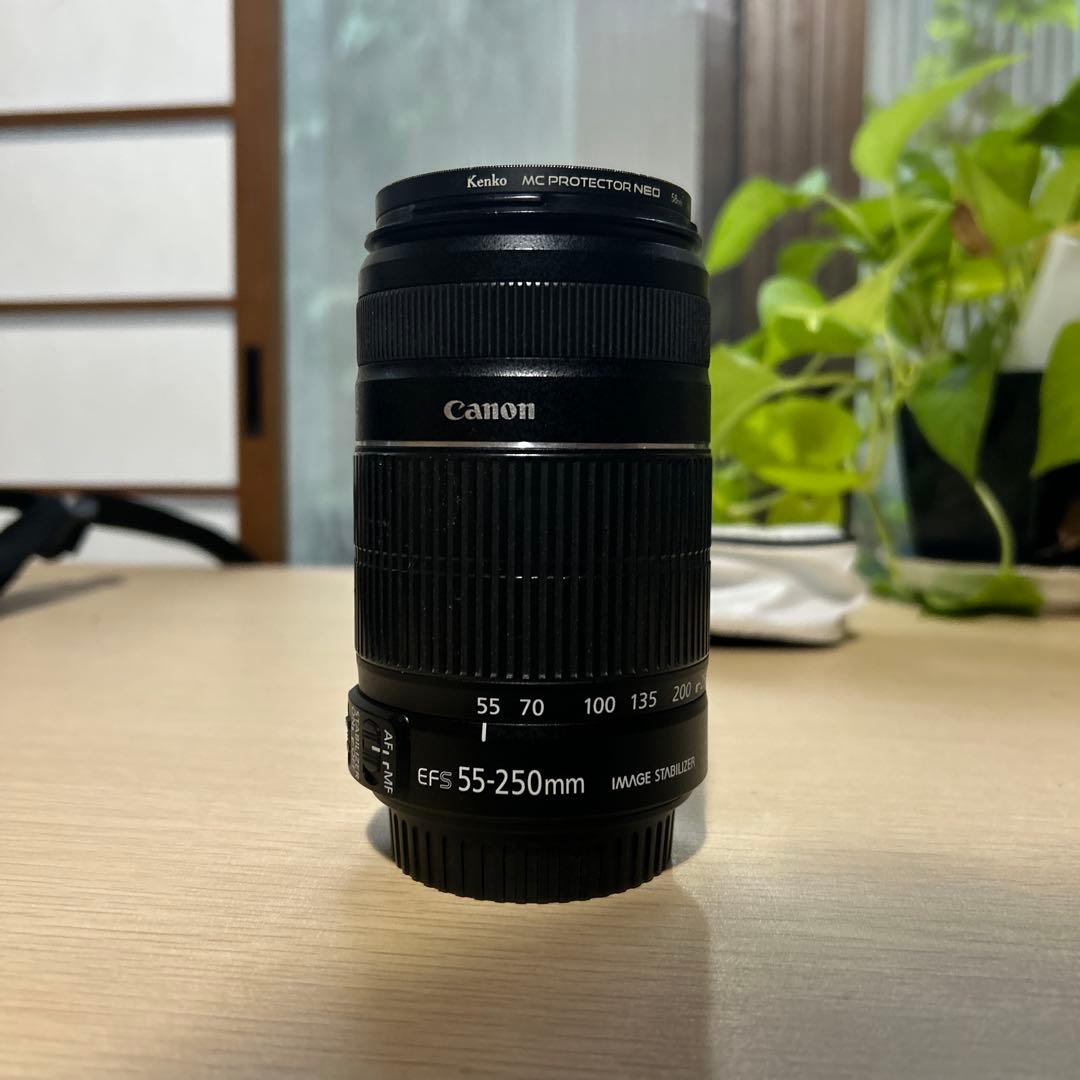 CANON EFS55-250 プロテクター付き