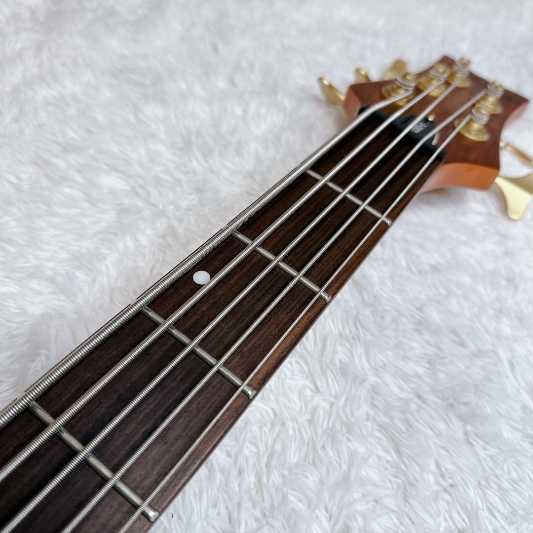 SCHECTER　シェクター　STILETTO　STUDIO5　5弦ベース