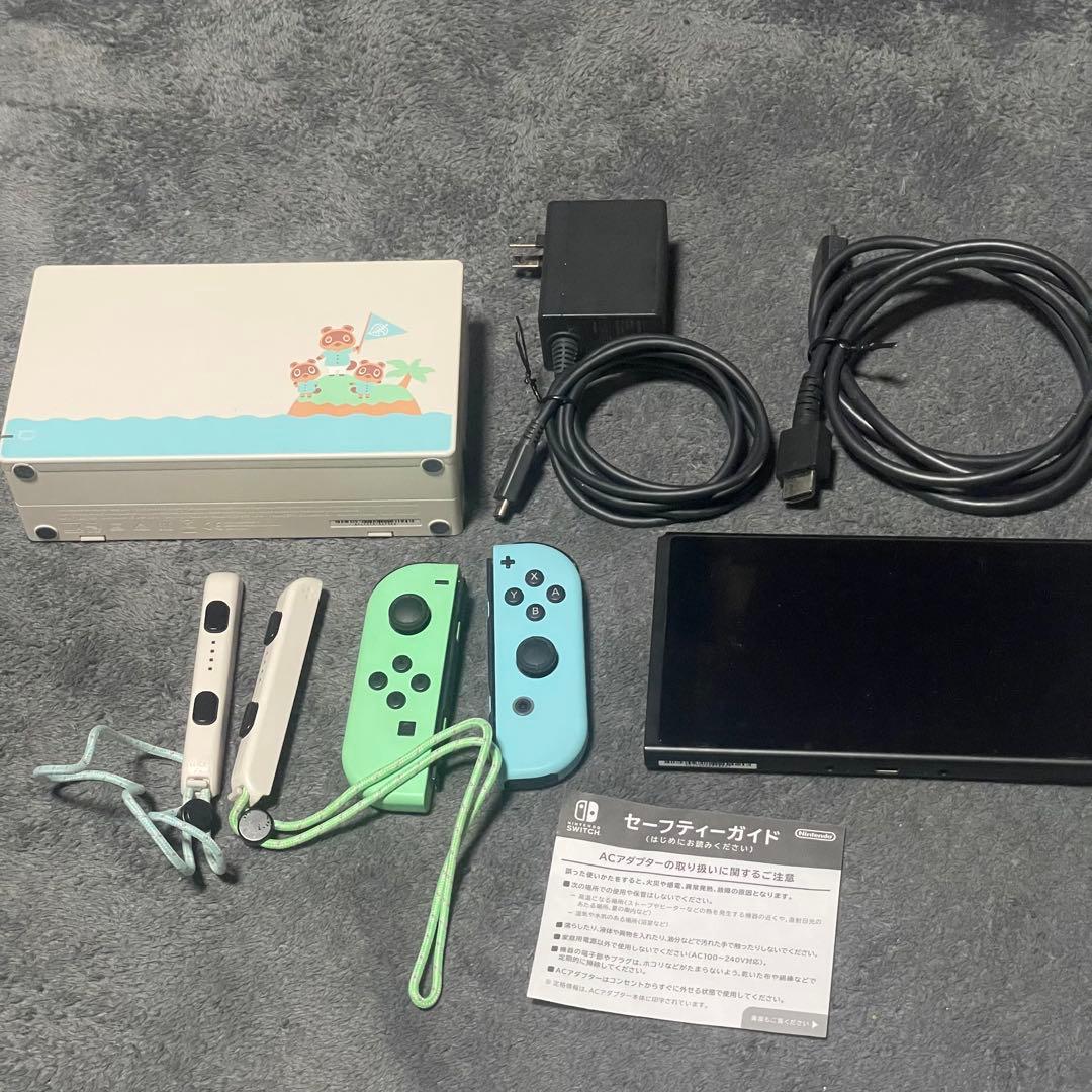 Nintendo Switch どうぶつの森 （※説明文を必ずお読みください）