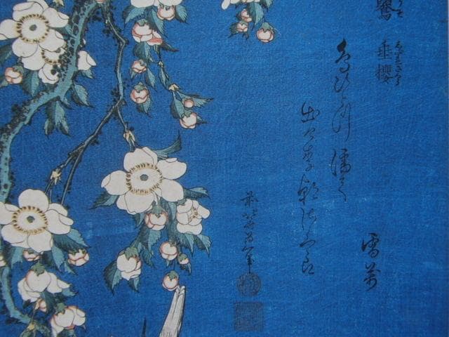葛飾北斎、【鷽　垂桜】、希少画集画より、状態良好、新品高級額装付