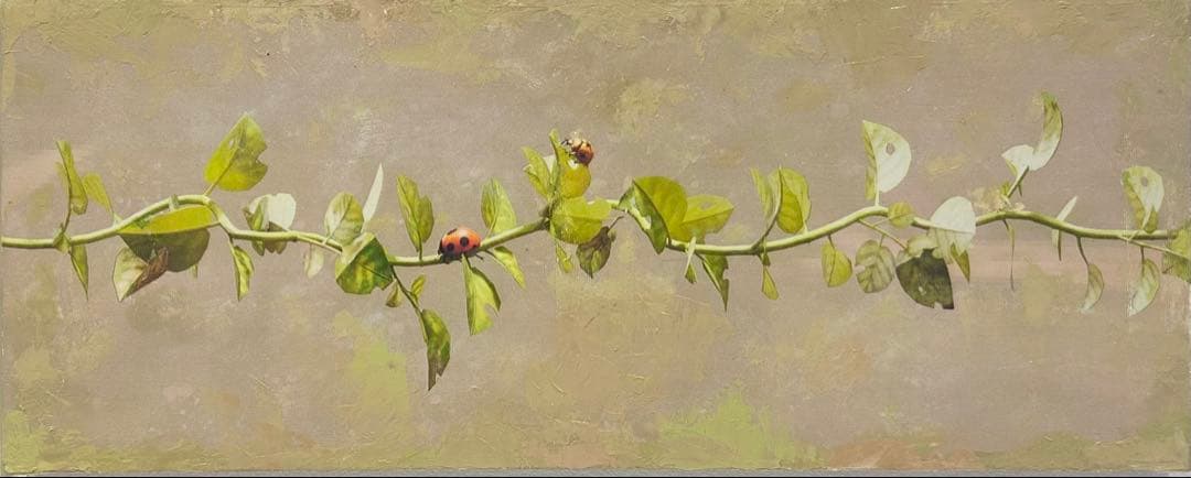 てんとう虫　アクリルガッシュ　イラストレーション　絵画