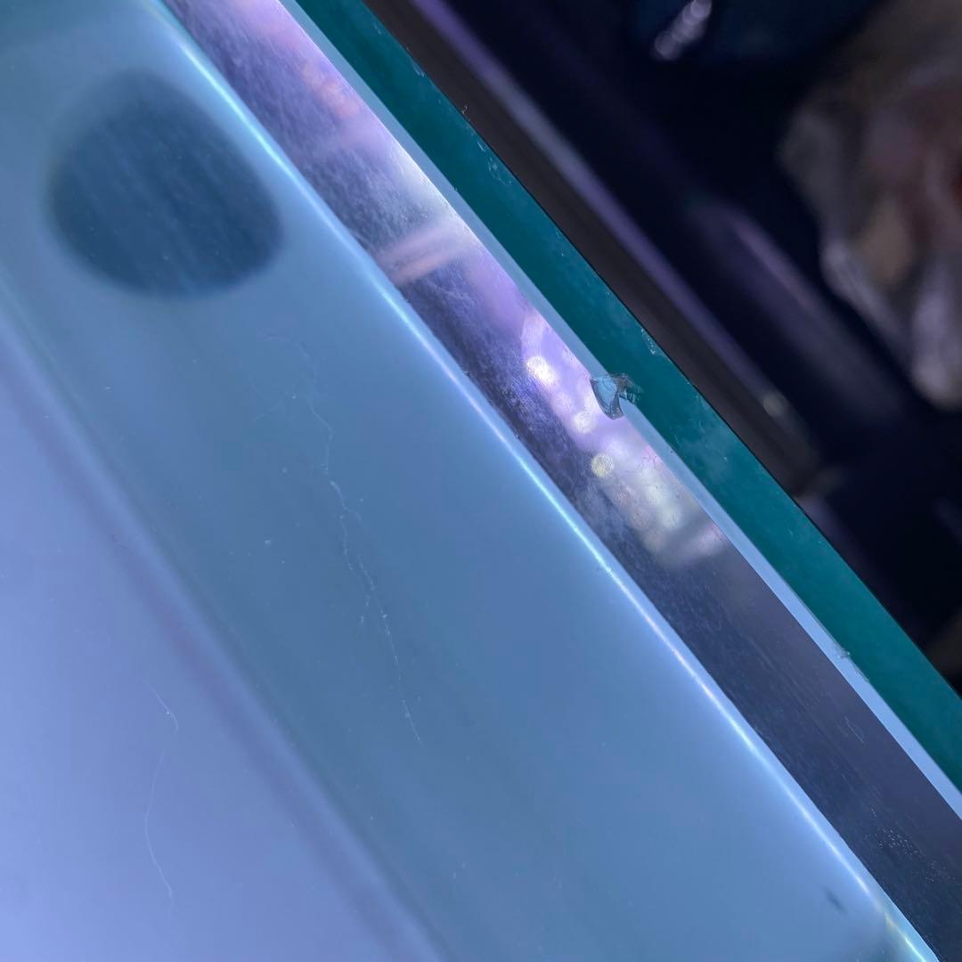 コトブキ工芸 レグラスフラットF-900L-LOW オールガラス水槽